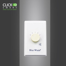 volume control 25 watt